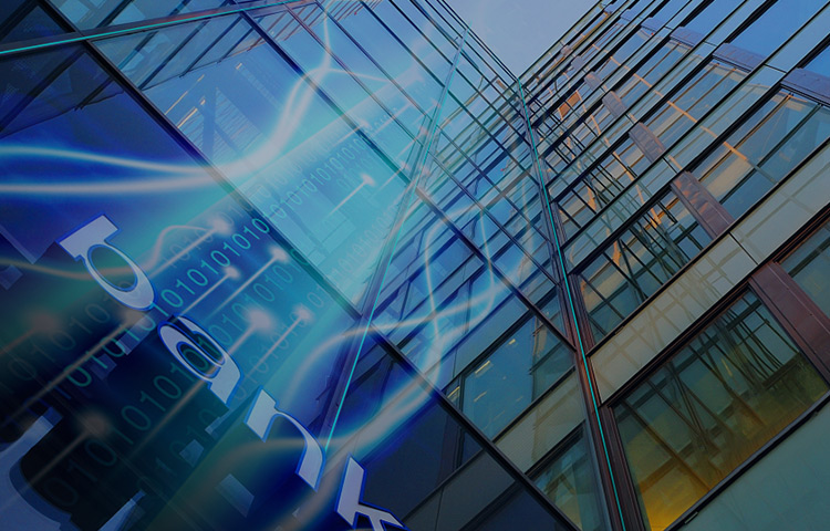 ָ������ȷ���ƻ�